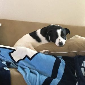 Meet your Posher, Brian